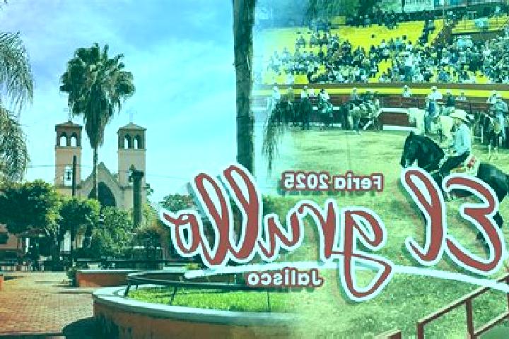 Escorts El Grullo, Mexico — Local Companions