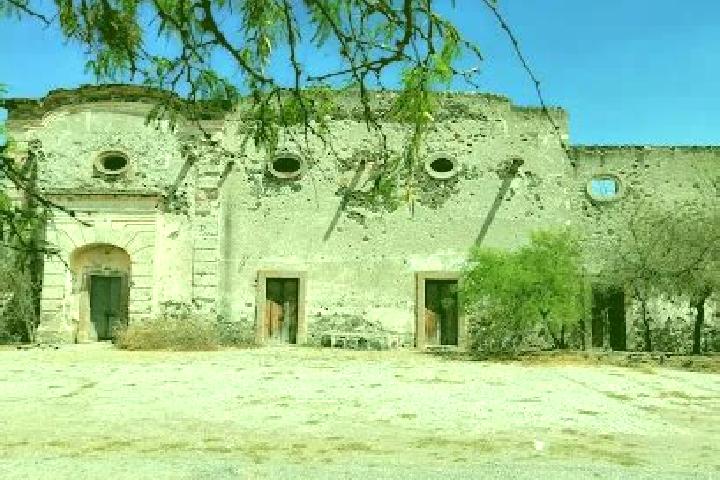 Escorts El Huexco, Mexico — Local Companions