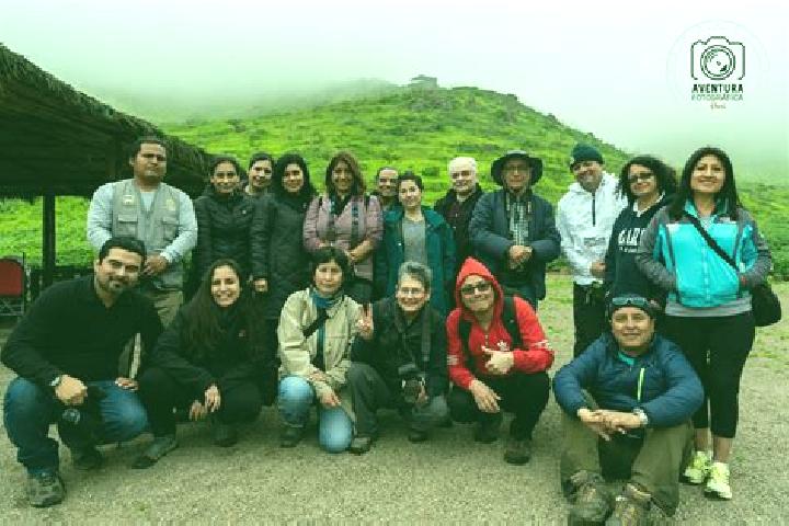 Escorts El Pinar, Mexico — Local Companions