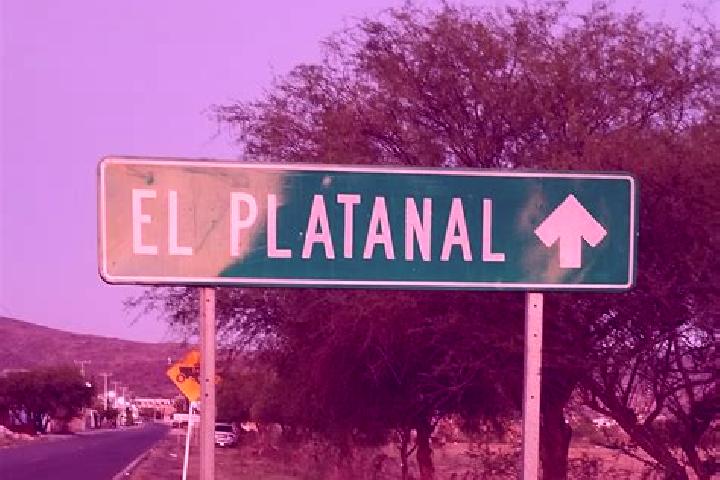 Escorts El Platanal, Mexico — Local Companions