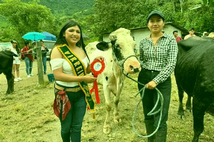 Escorts El Porvenir del Carmen, Ecuador — Local Companions