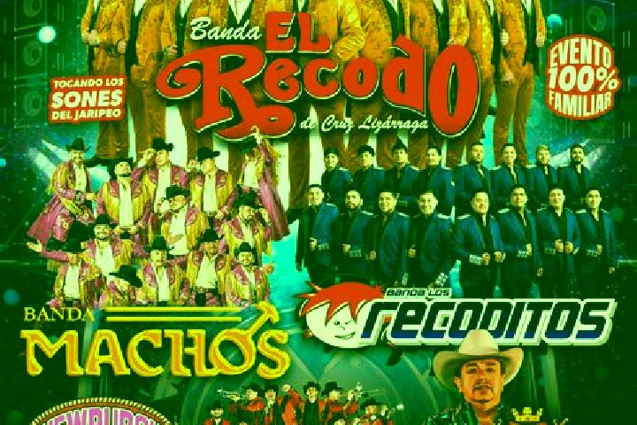 Escorts El Recodo de San Jose Axalco, Mexico — Local Companions