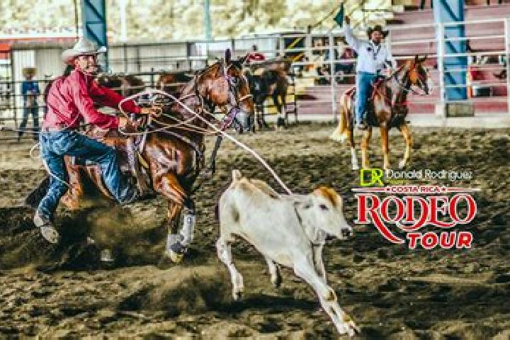 Escorts El Rodeo, Argentina — Local Companions