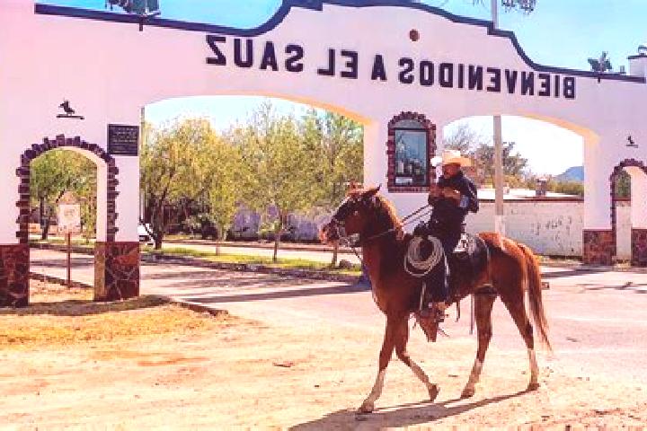 Escorts El Sauz de Abajo, Mexico — Local Companions