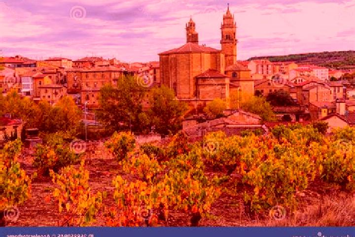 Escorts Elciego, Spain — Local Companions