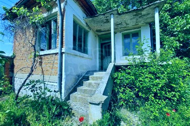 Escorts Elkhovo, Bulgaria — Local Companions
