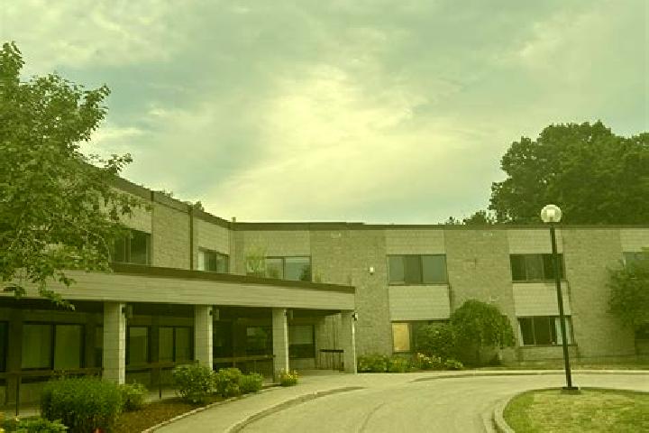 Escorts Elmwood Place, United States — Local Companions