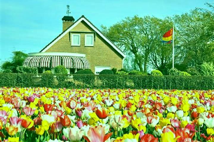 Escorts Elsloo, Netherlands — Local Companions