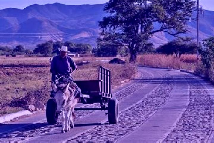 Escorts Encinal Colorado, Mexico — Local Companions