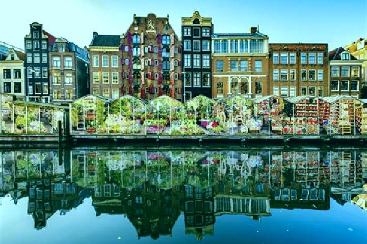 Escorts Enkhuizen, Netherlands — Local Companions