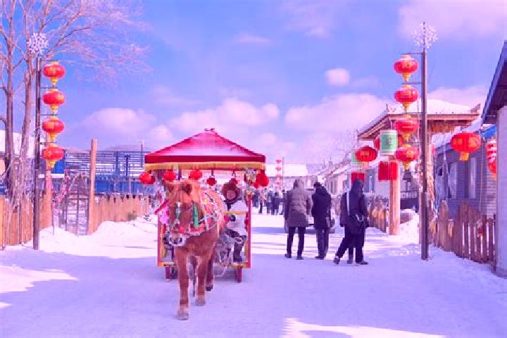 Escorts Erhe, China — Local Companions