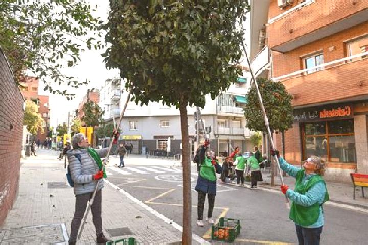 Escorts Esplugues de Llobregat, Spain — Local Companions