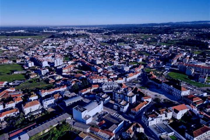 Escorts Estarreja, Portugal — Local Companions