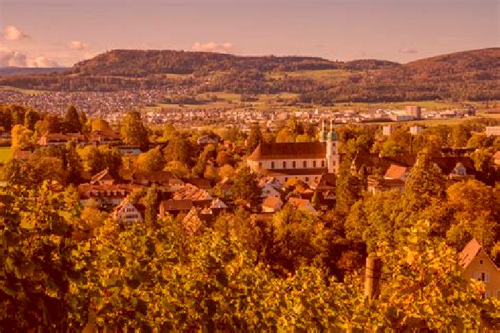 Escorts Ettingen, Switzerland — Local Companions