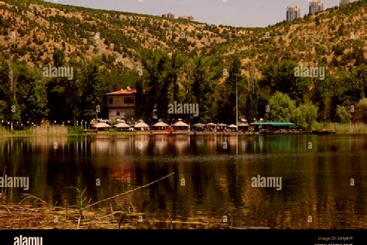 Escorts Eymir, Turkey — Local Companions