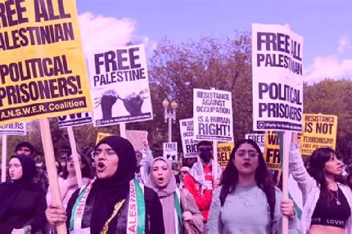 Escorts Fahmah, Palestine — Local Companions