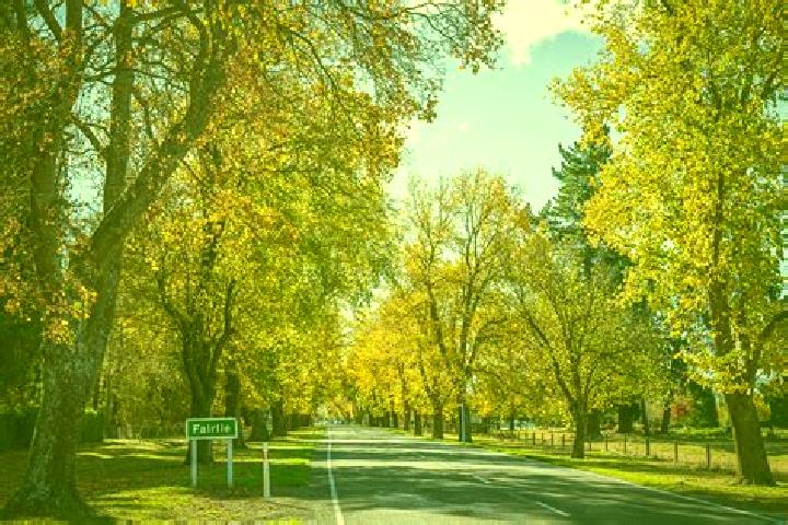 Escorts Fairlie, New Zealand — Local Companions