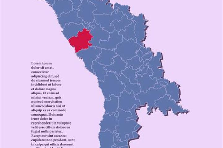 Escorts Falesti, Moldova — Local Companions