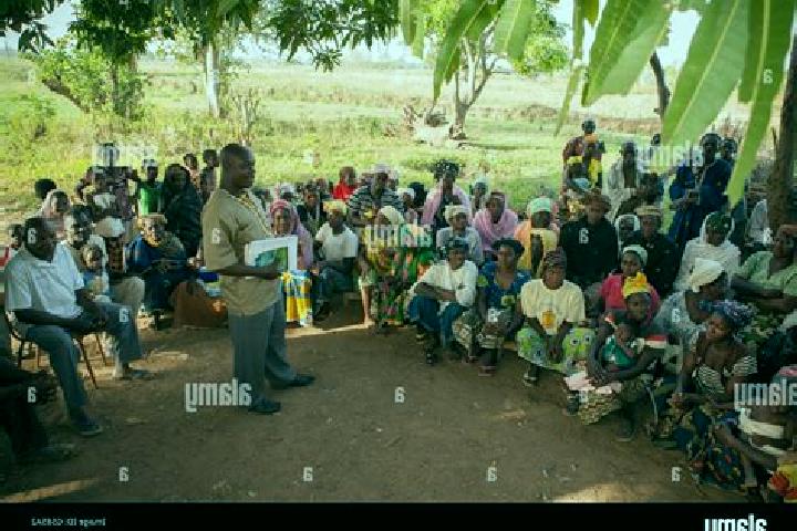 Escorts Fara Department, Burkina Faso — Local Companions