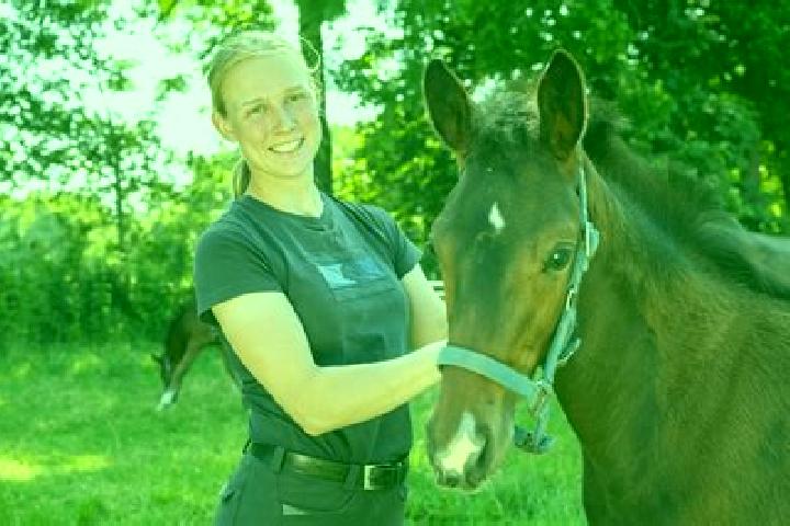 Escorts Fargau-Pratjau, Germany — Local Companions