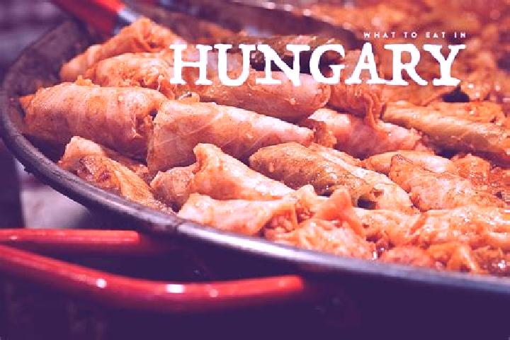 Escorts Farmos, Hungary — Local Companions
