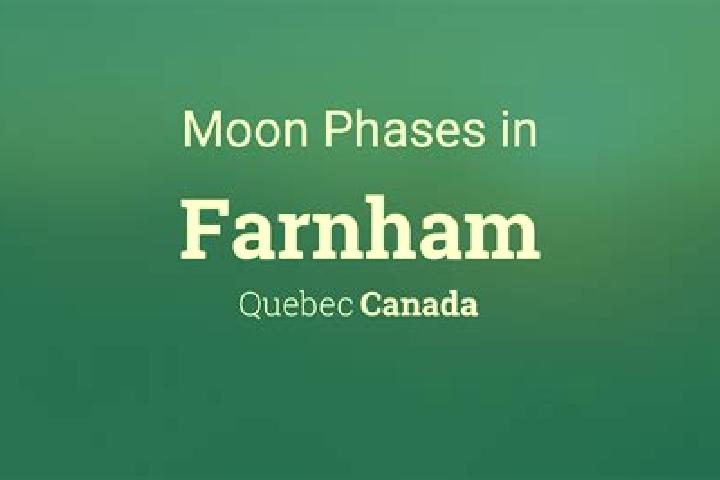 Escorts Farnham, Canada — Local Companions