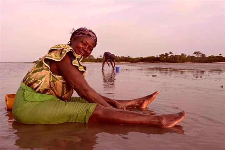 Escorts Fass, Gambia — Local Companions
