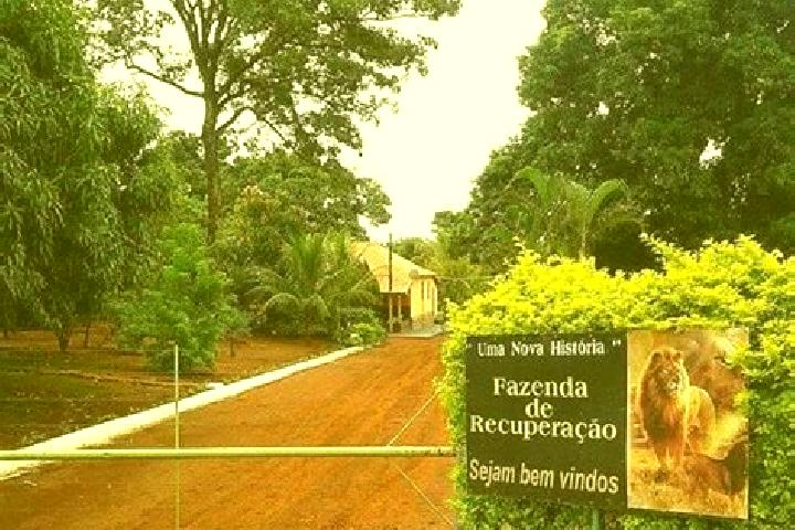 Escorts Fazenda Nova, Brazil — Local Companions