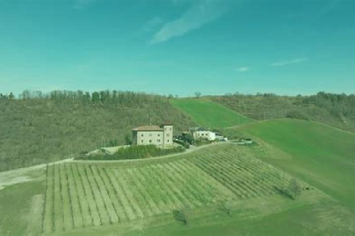 Escorts Felegara, Italy — Local Companions