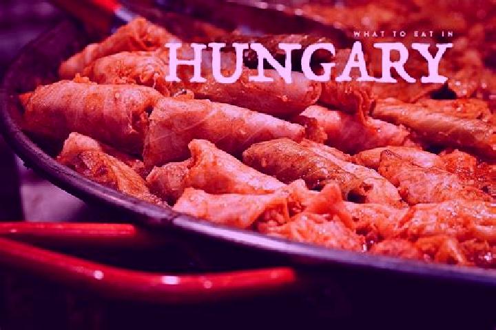 Escorts Felsotag, Hungary — Local Companions