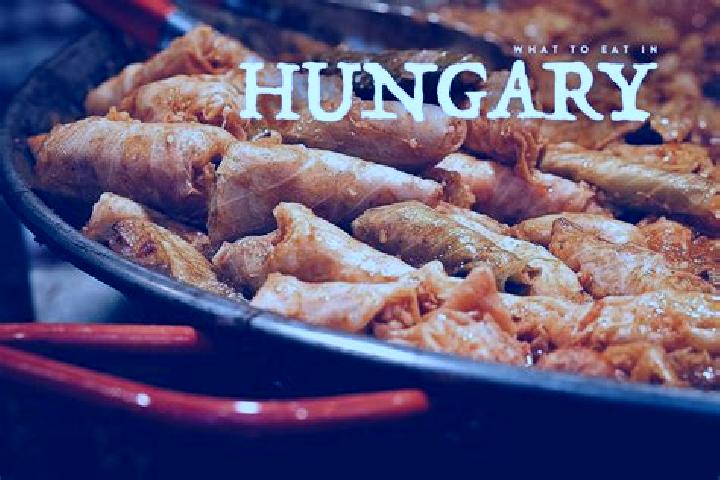 Escorts Fenyeslitke, Hungary — Local Companions