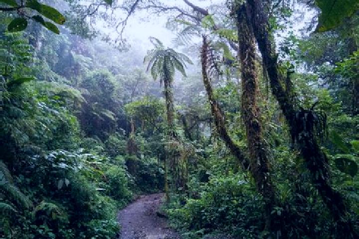 Escorts Fern Forest, United States — Local Companions