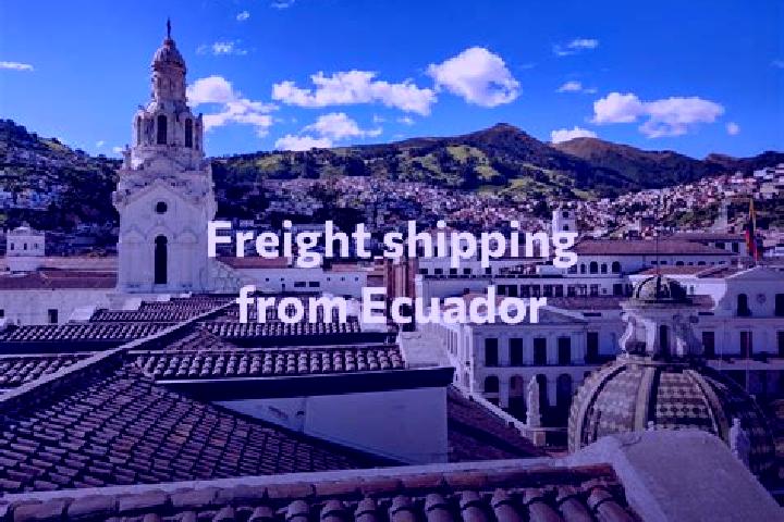 Escorts Fernandez Salvador, Ecuador — Local Companions