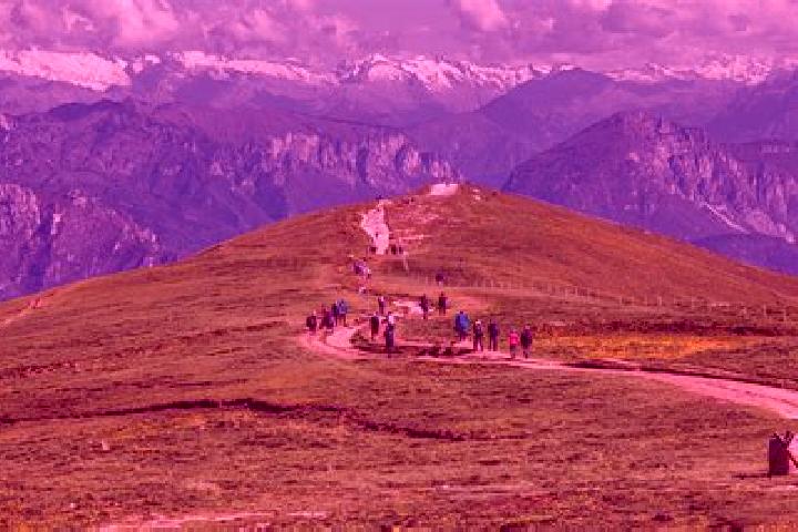 Escorts Ferrara di Monte Baldo, Italy — Local Companions