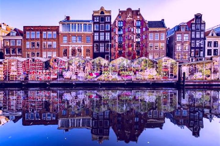 Escorts Ferwert, Netherlands — Local Companions