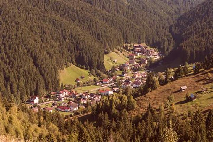 Escorts Fierbintii de Sus, Romania — Local Companions