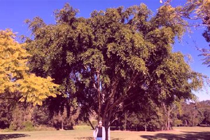 Escorts Fig Tree Pocket, Australia — Local Companions