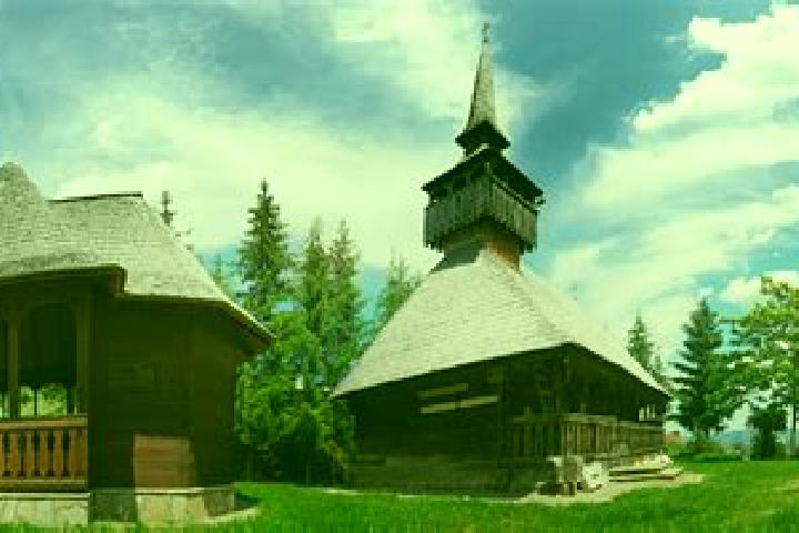 Escorts Fildu de Jos, Romania — Local Companions