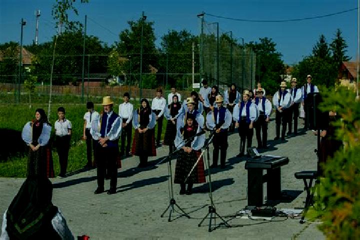 Escorts Fizesu Gherlii, Romania — Local Companions
