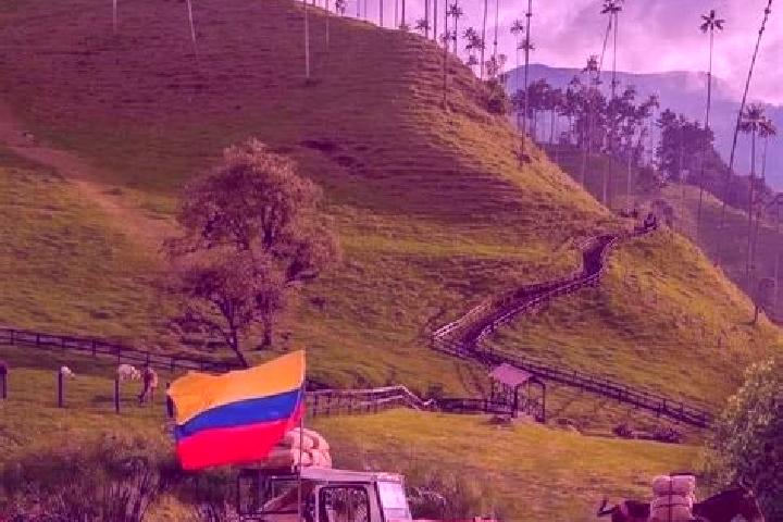 Escorts Flandes, Colombia — Local Companions