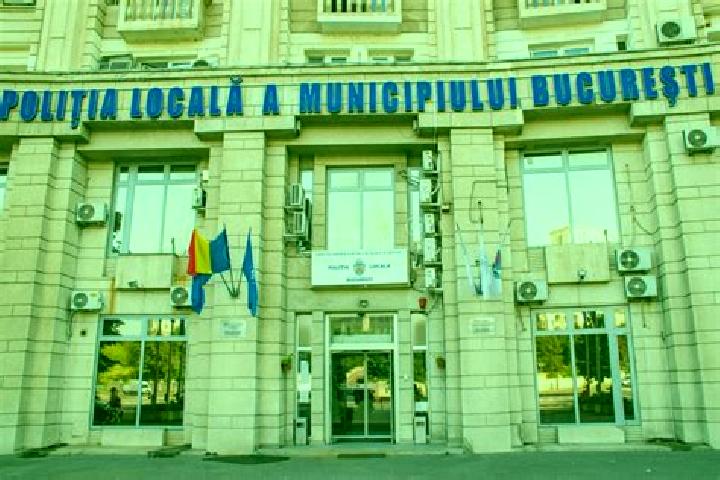 Escorts Foglas, Romania — Local Companions