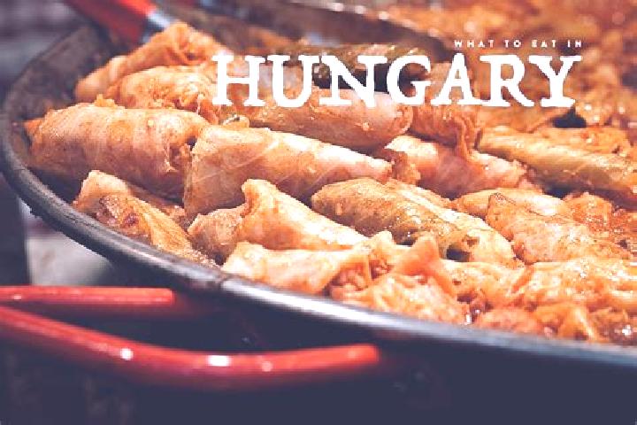 Escorts Fonyod, Hungary — Local Companions