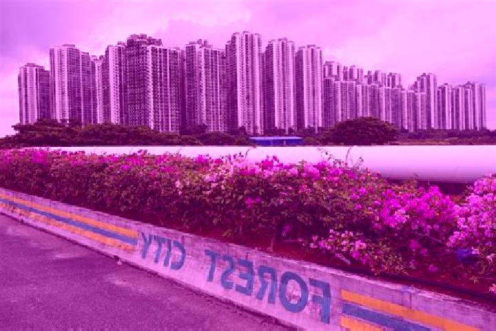 Escorts Forest City, Malaysia — Local Companions