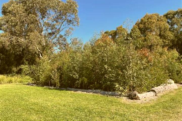 Escorts Forest Lake, Australia — Local Companions