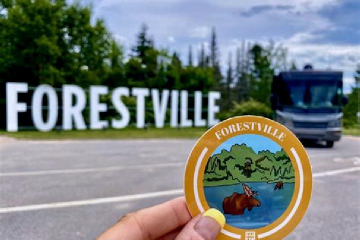 Escorts Forestville, Canada — Local Companions