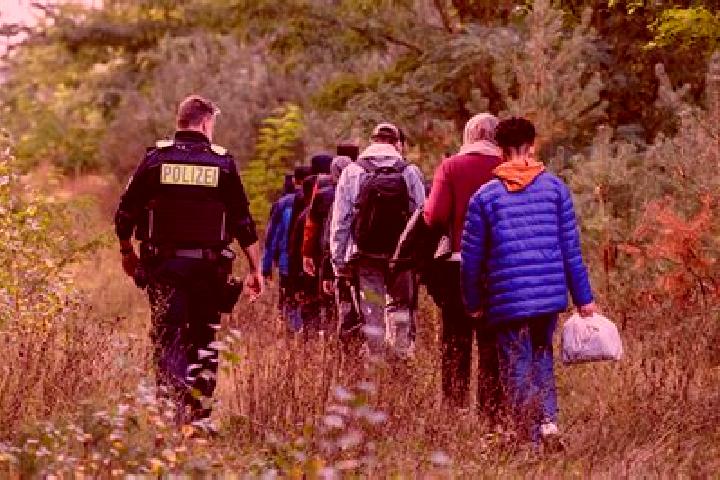 Escorts Forst, Germany — Local Companions