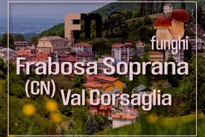 Escorts Frabosa Soprana, Italy — Local Companions