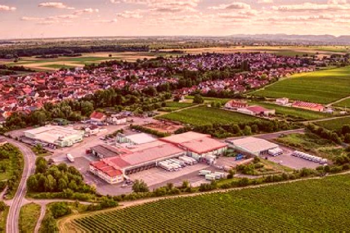 Escorts Frankenthal, Germany — Local Companions