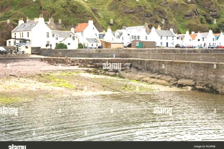 Escorts Fraserburgh, United Kingdom — Local Companions