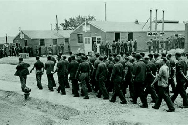 Escorts French Camp, United States — Local Companions